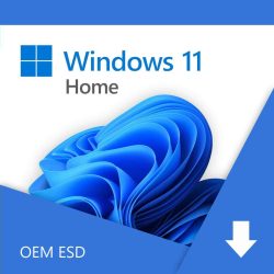 SW - Windows 11 Home, digitális licenc